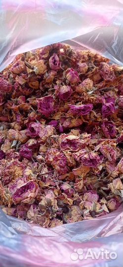 Чайная роза. Сухоцвет. Саженцы