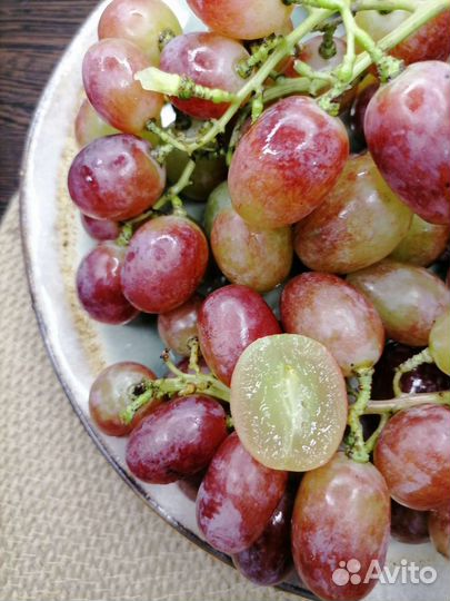 Саженцы и черенки винограда