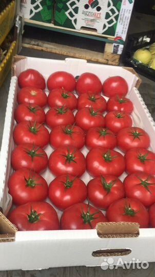 Овощи фрукты