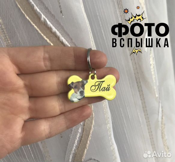 Адресник для собаки, кошки, питомца