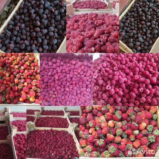 Бесплатная доставка