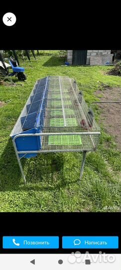 Клетки для кроликов