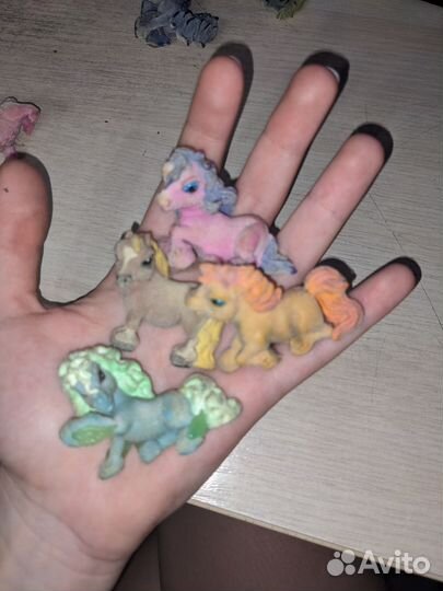 Маджики лошадки