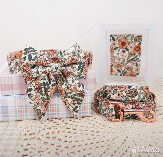 Шлейка с гравировкой для собак (комплект)