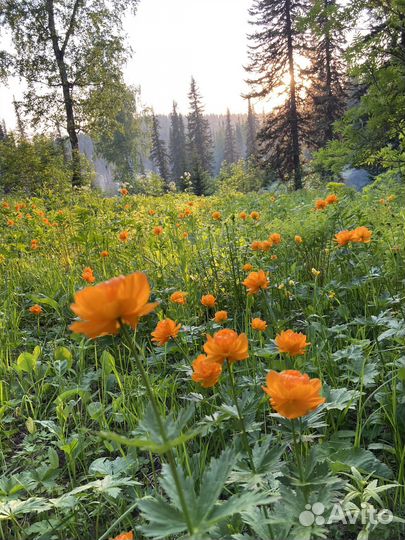 Поход на озеро Выпускников