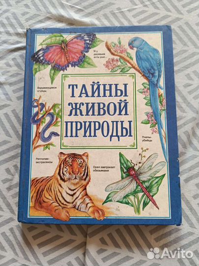 Малыш и Карлсон, приключения Гекльберри Финна