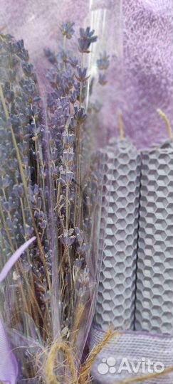 Лаванда