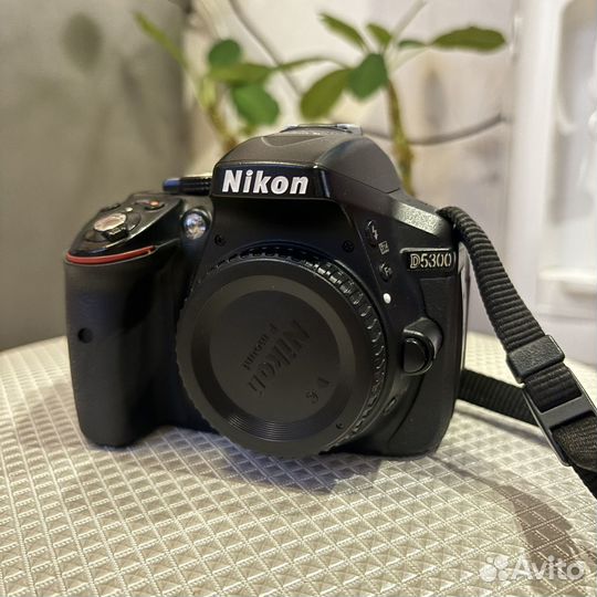 Nikon d5300 + объектив nikkor 18-55 mm kit