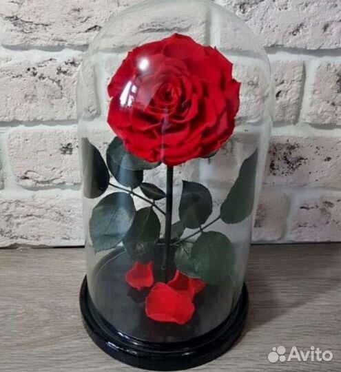 Роза в колбе Ульяновск