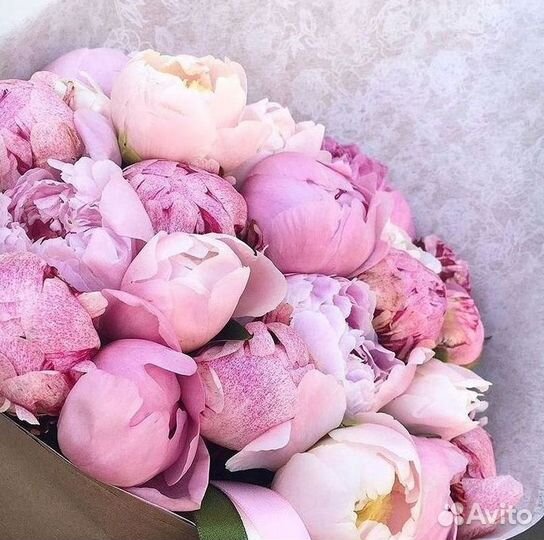 Пионы Букеты Цветы Доставка