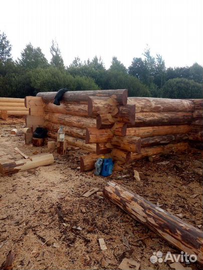 Срубы, домов и бань любых размеров