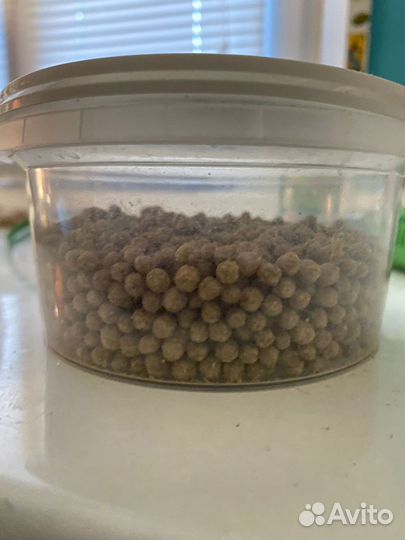 Аквариум для маленьких черепах