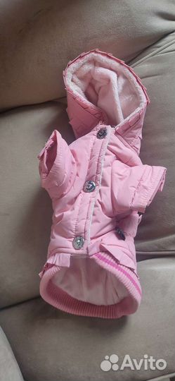 Одежда для собак