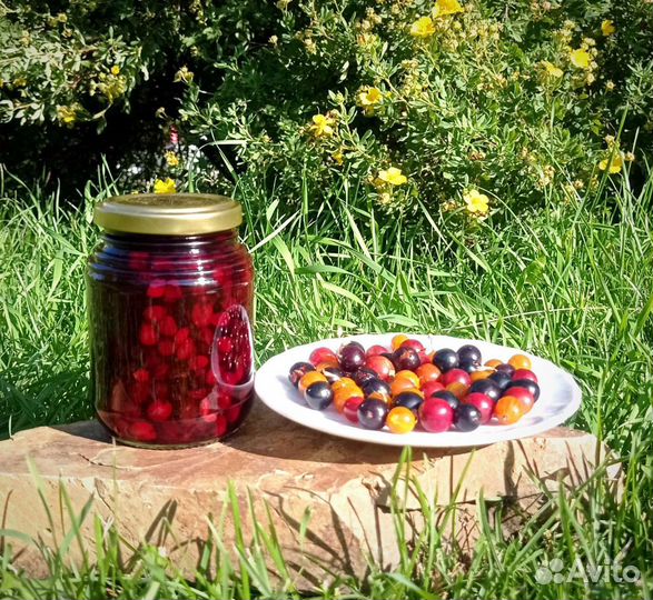 Варенье, сиропы из ягод, шишек, ореха, хвои, трав