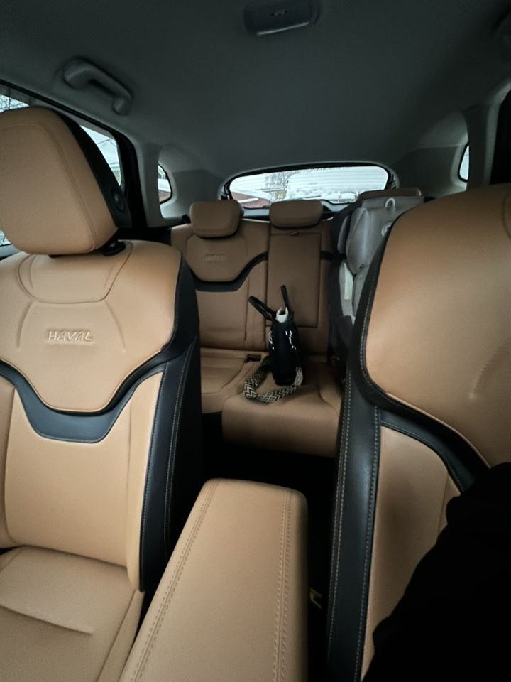 HAVAL Jolion: фото владельца