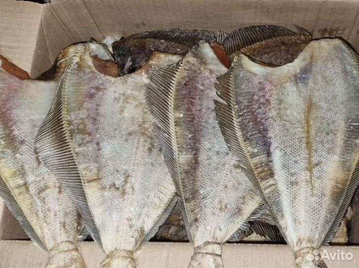 Лещ вял, Вомер Х / К, Камбала Ёрш, С икрой вяленая