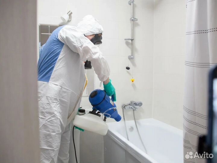 Уничтожение тараканов дезинфекция клопов