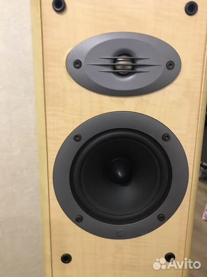 Акустика Celestion f20