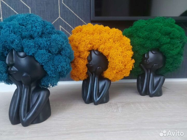 Композиции из стабилизированного мха