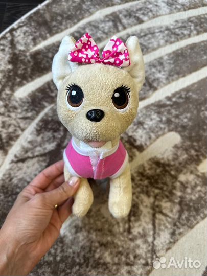 Собачка чичилав в сумочке