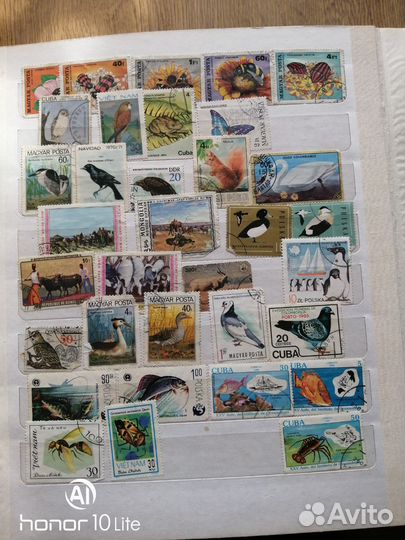 Хобби. Колекция