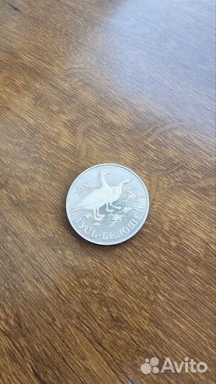 1 рубль 1998 спмд Гусь-белошей