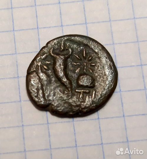 Монеты в коллекцию