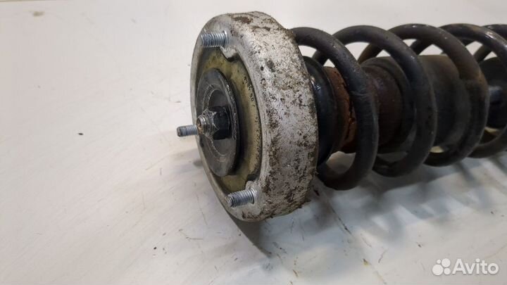 Амортизатор подвески левый задний BMW 5 E60, 2006