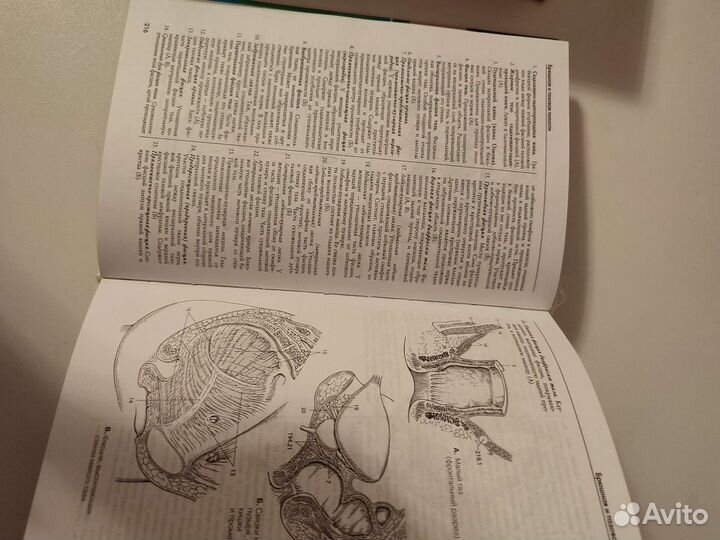 Карманный атлас анатомии человека.Фениш