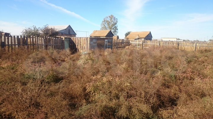 Участок 5,5 сот. (ИЖС)