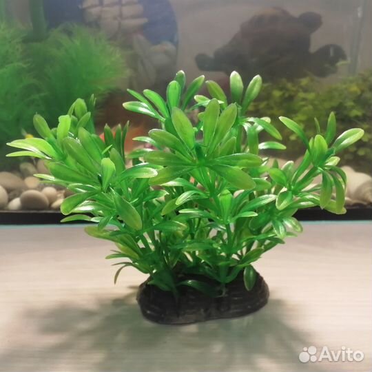 Аксессуары для аквариума:ракушки,грот,растения