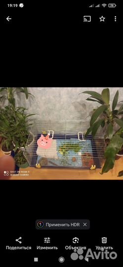 Клетка для кролика большая