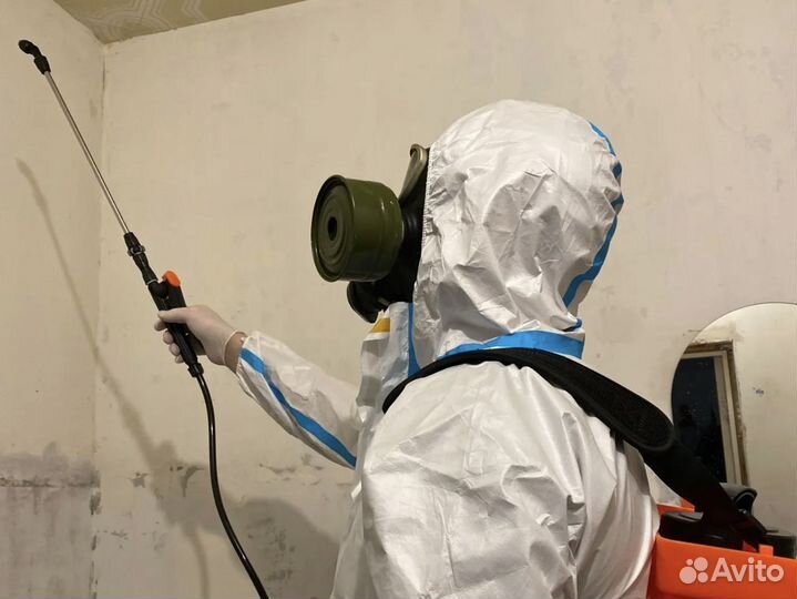 Дезинсекция / Дезинфекция / Уничтожение тараканов