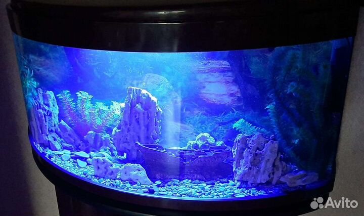 Аквариум (Панорама, с тумбой)