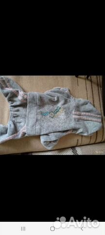 Велюровый костюм разм.S для собачки