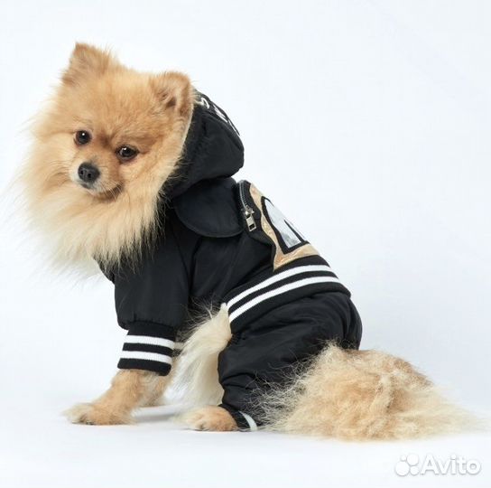 Зимний комбинезон для собаки, новый