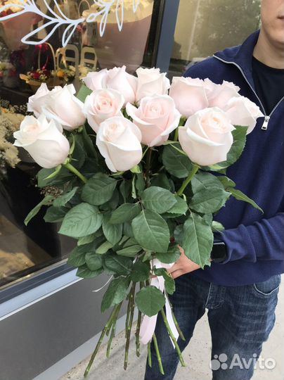 Розы эквадор 80см Доставка Цветы