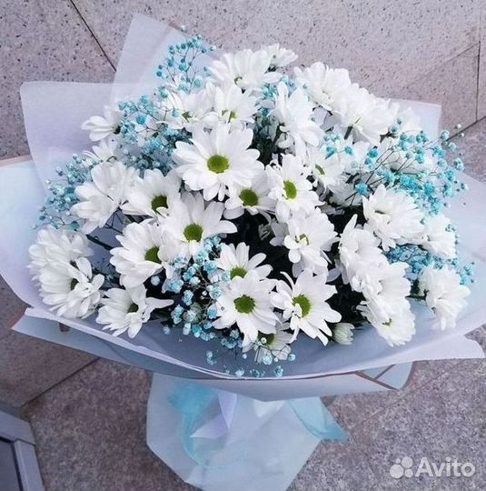 Хризантема Доставка цветов