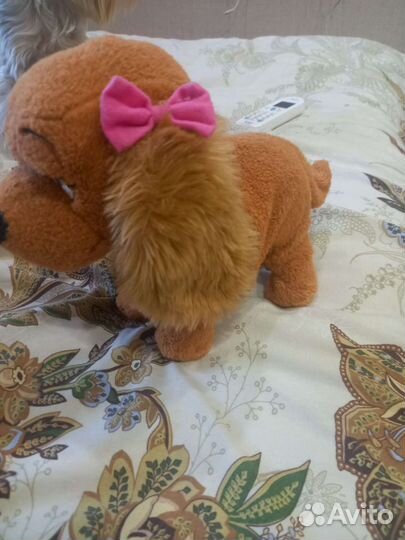 Интерактивная собака