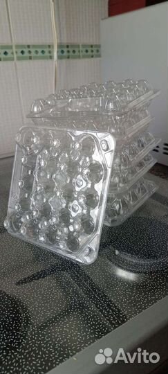 Ячейки для перепелиных яиц