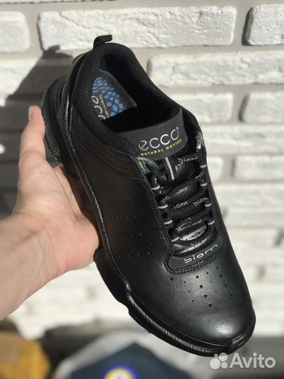 Кроссовки ecco biom m c