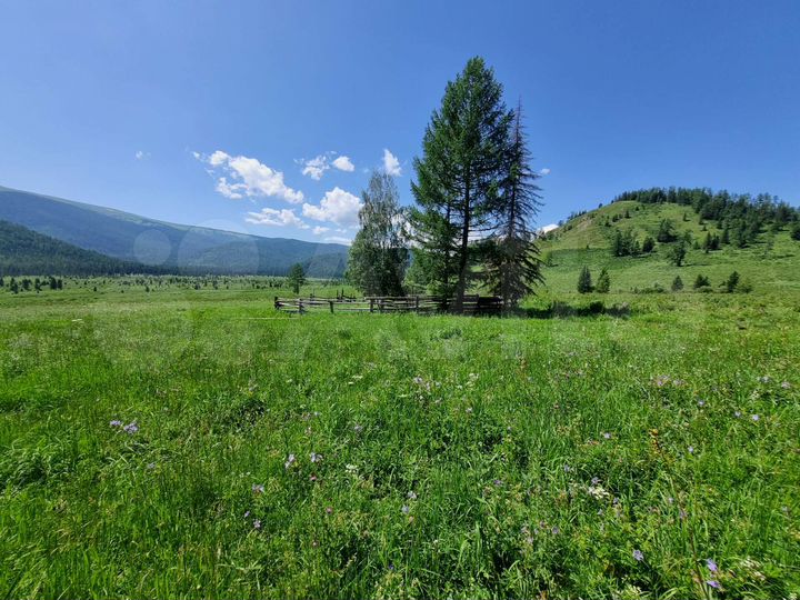 Участок 64 га (СНТ, ДНП)