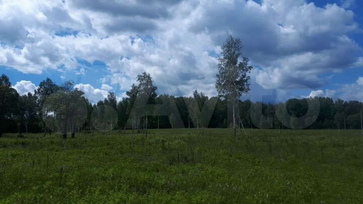 Участок 16 сот. (ИЖС)