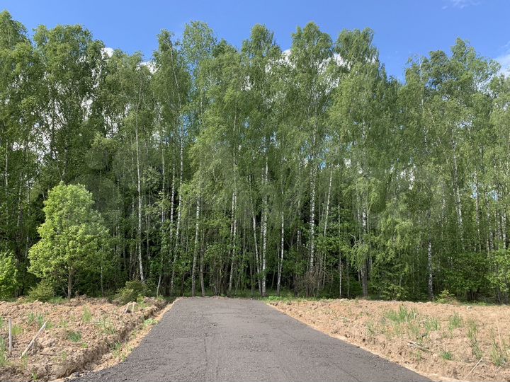 Участок 10 сот. (ИЖС)