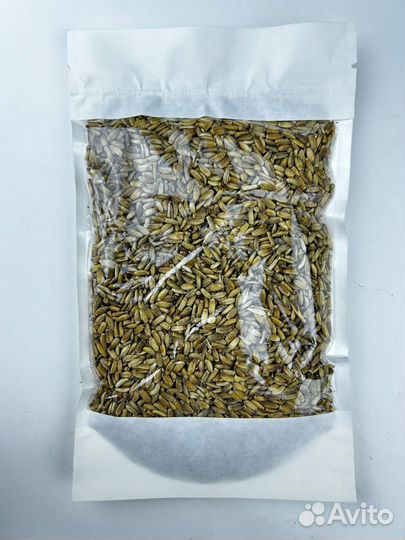 Расторопша / Семена расторопши