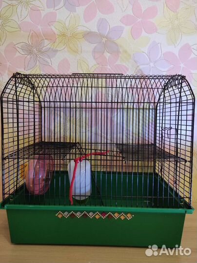 Клетка, колесо, шар, шлейка, ванночка для хомяка