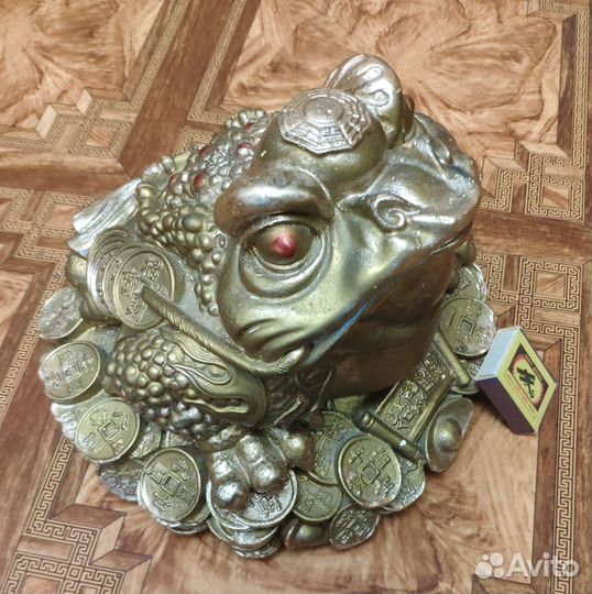 Лягушка денежная