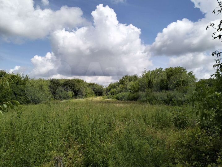 Дом 65 м² на участке 50 сот.