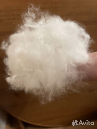 Шерсь кошачья