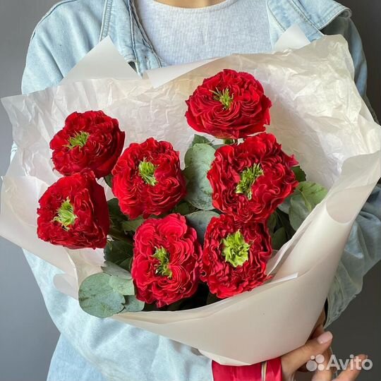 Роза пионовидная Ред Ай (Red Eye)